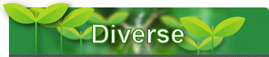 Diverse